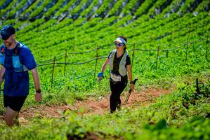 BIB: 3316
                            <button type="button" onclick="openModal(19163700)" class="btn btn-primary btn-sm float-right btn-popup" data-toggle="modal" data-target=".modal-high-quality">
                        <i class="fas fa-shopping-cart"></i> Add to Cart
                    </button>
                                            <button type="button" onclick="isThisMe(19163700, true)" class="btn btn-success btn-sm float-right btn-popup btn-isme hidden" data-toggle="tooltip" data-placement="bottom" title="นี่คือรูปของคุณใช่ไหม คลิกที่นี่เพื่อเอาเข้าอัลบั้ม">
                        <i class="fas fa-plus"></i> Add to album
                    </button>
                    <button type="button" onclick="isThisMe(19163700, false)" class="btn btn-warning btn-sm float-right btn-popup btn-isnotme hidden">
                        <i class="fas fa-ban"></i> Remove from album
                    </button>